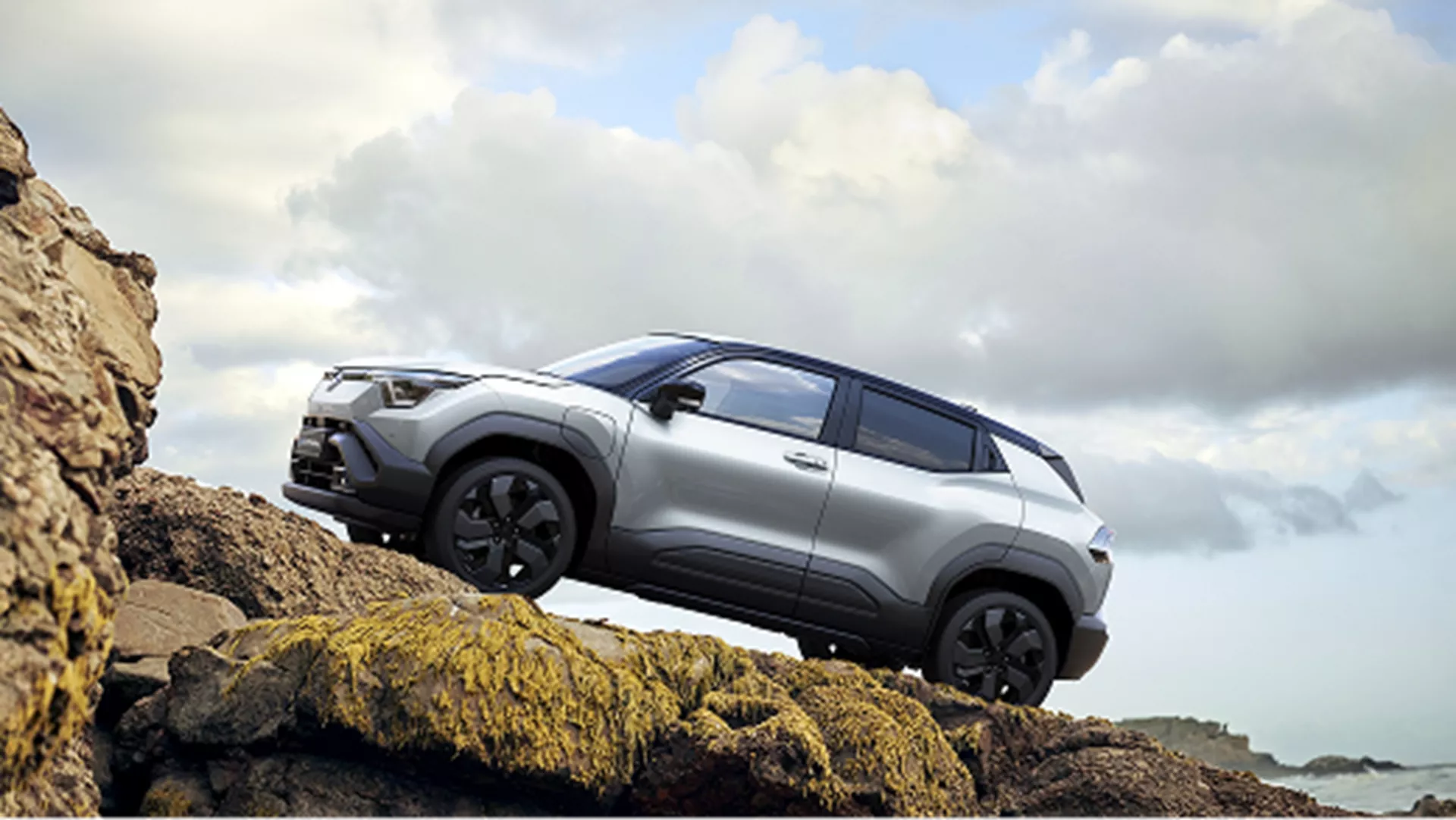 Suzuki SUVs & Crossovers