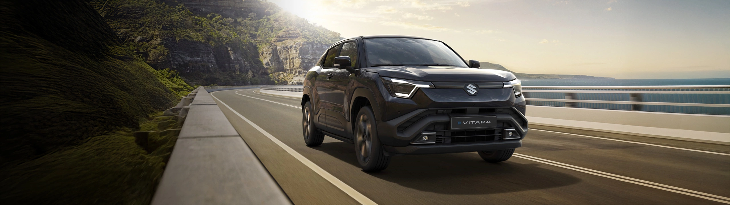 Suzuki e Vitara Business