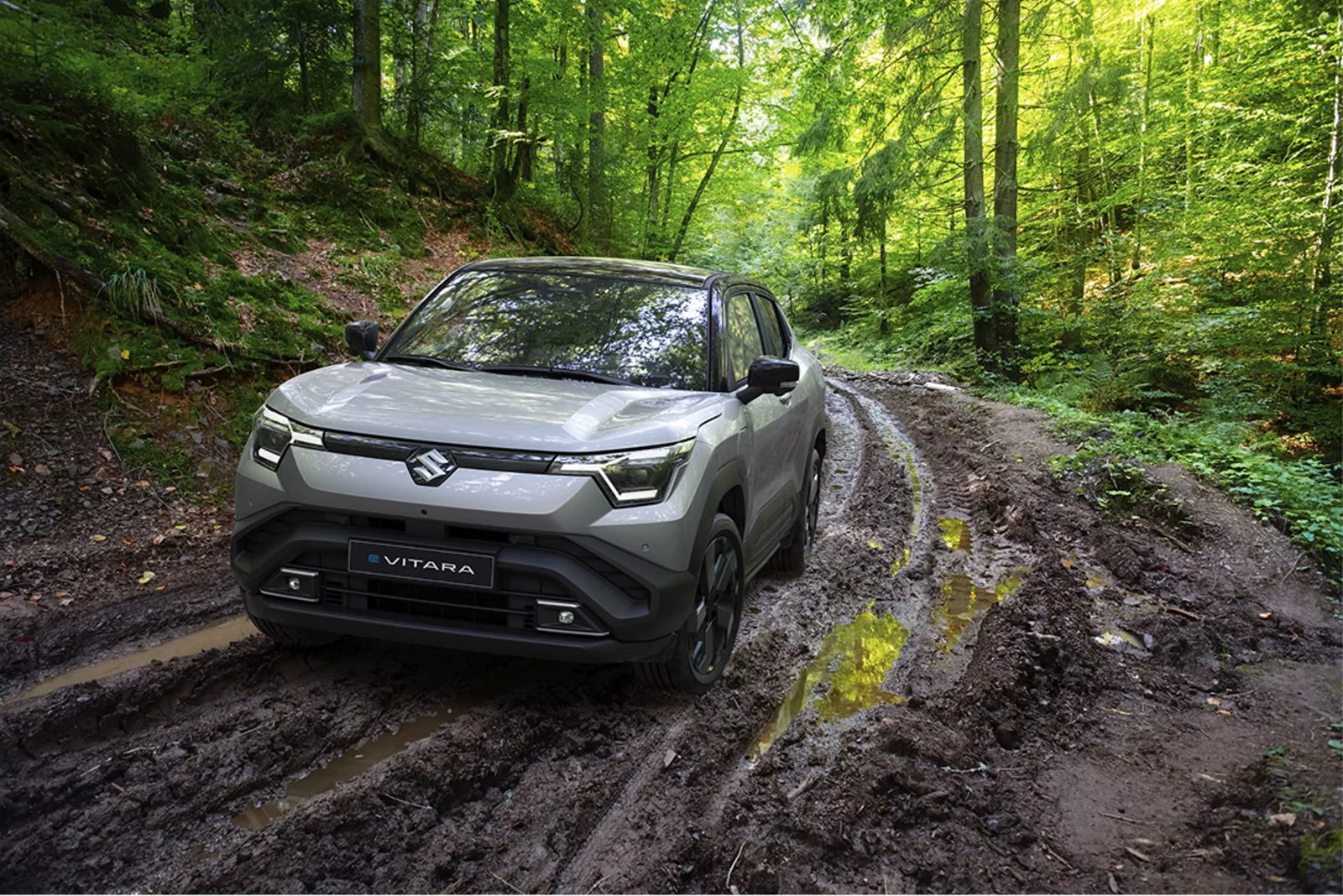 Suzuki e Vitara in the forest